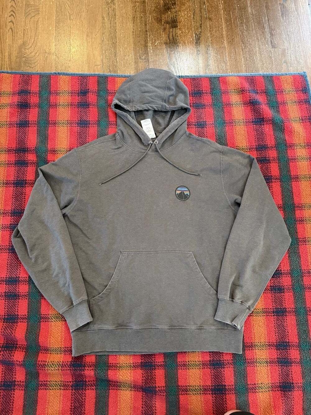 Patagonia Men's Organic Cotton Graphic Logo Pullover Hoodie